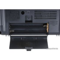 Радиоприемник Panasonic RF-2400EE9-K