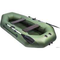 Моторно-гребная лодка Аква-Мастер 260 (зеленый)