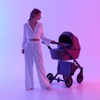 Универсальная коляска Anex E/type 2022 (2 в 1, gothic et-03A)