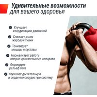 Гиря Unixfit KBVIN28RD 28 кг Red