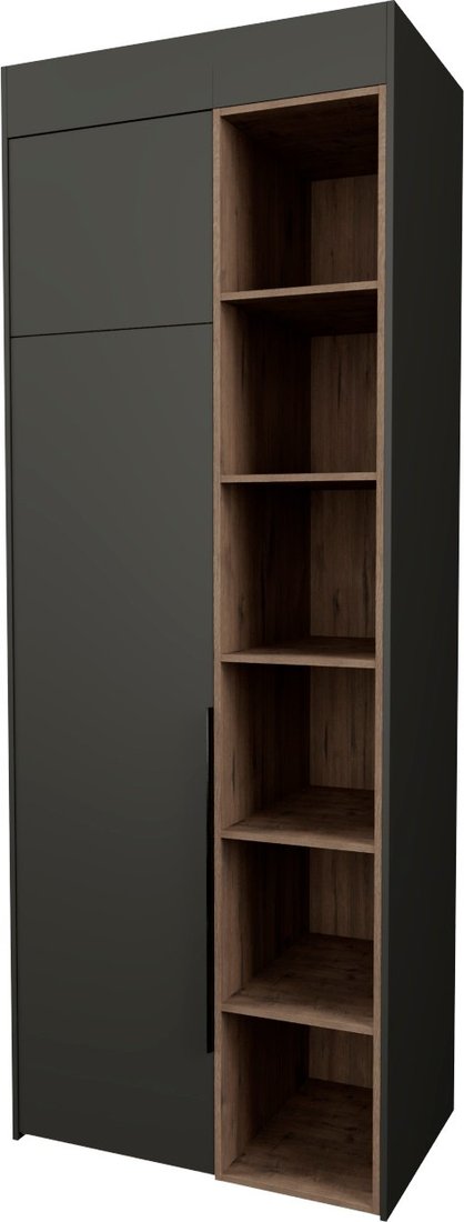 

Шкаф распашной Рэйгрупп Рэй S257-B2-WKW В2 (дуб веллингтон/кобальт)