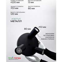 Припотолочная люстра TruEnergy 21490