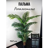 Искусственное растение Merry Bear Home Decor Пальма Ропалостилис Элит A144165 (165см)