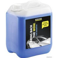  Karcher Автомобильный шампунь RM 619 5л 62953600