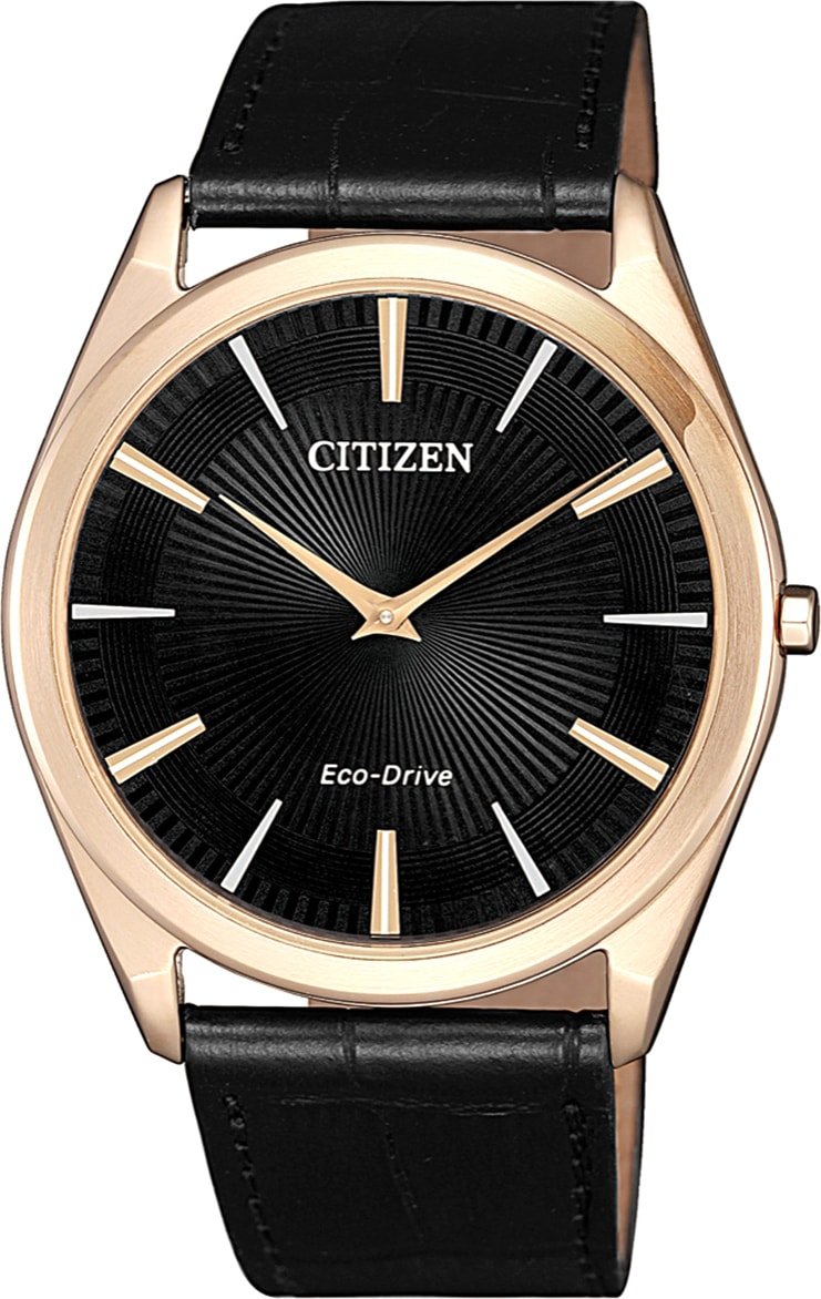 

Наручные часы Citizen AR3073-06E