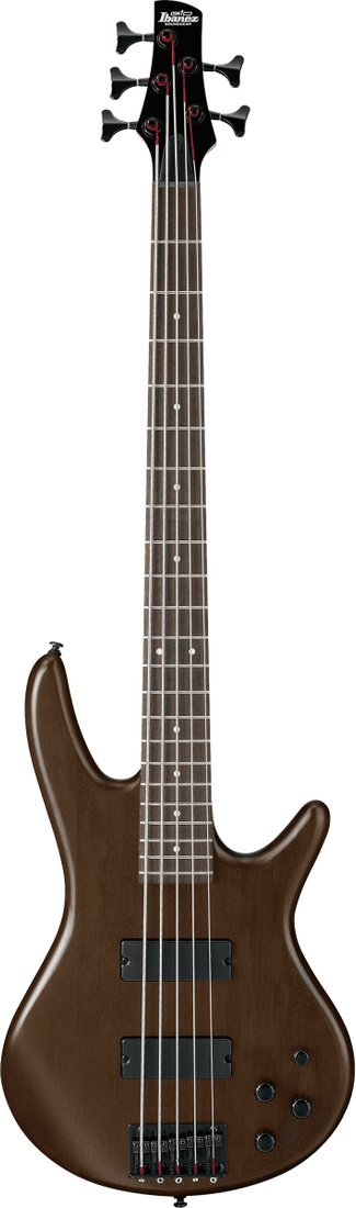 

Бас-гитара Ibanez GSR205B-WNF