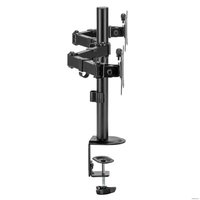 Кронштейн для монитора ErgoSmart Twin II