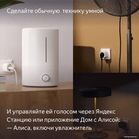 Умная розетка Яндекс YNDX-00540BLK (черный)