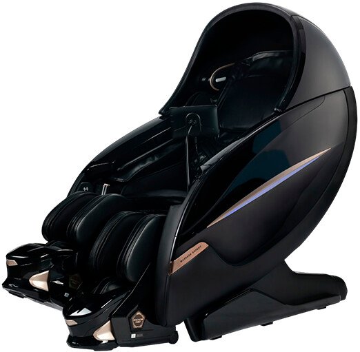 

Массажное кресло Richter Expert Robot (black)