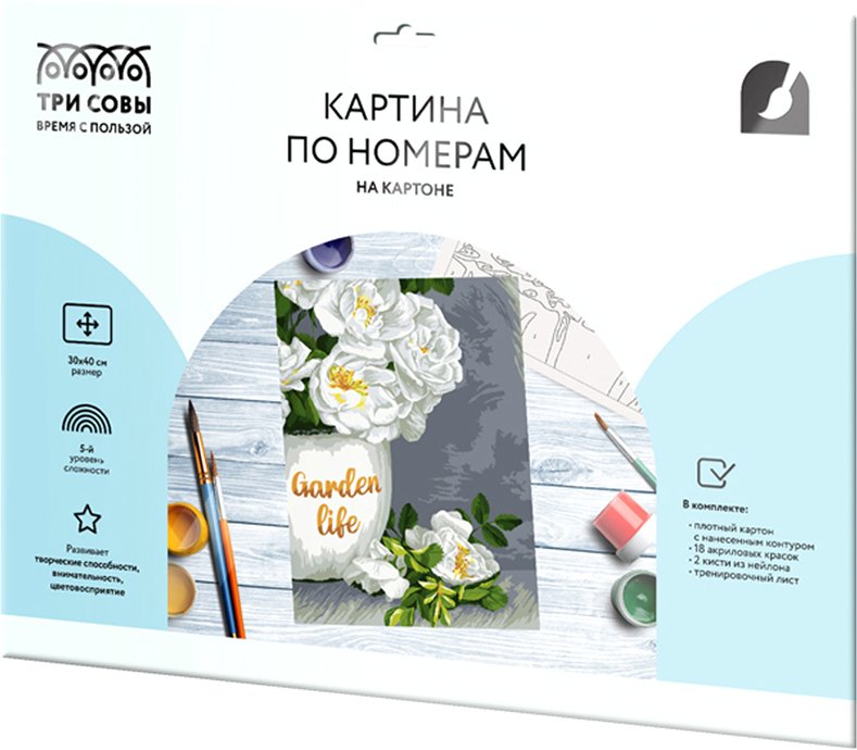

Картина по номерам Три совы Садовые цветы КК_44062