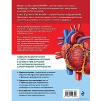 Книга издательства Эксмо. Анатомия человека. Современный атлас (Билич Г.Л., Зигалова Е.Ю.)