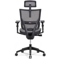 Офисное кресло Ergostyle Vision VIM01 (черный)