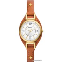 Наручные часы Fossil Carlie ES5215