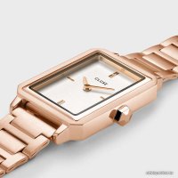 Наручные часы Cluse Fluette CW11503