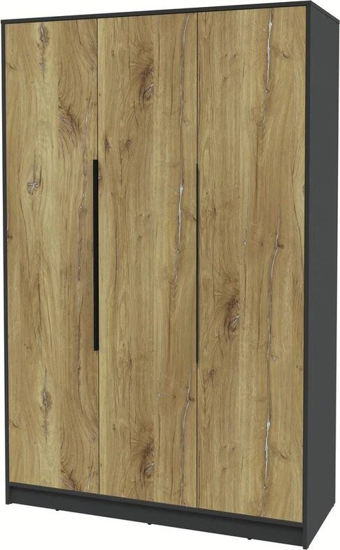 

Шкаф распашной Интерлиния Концепт КТ-Ш3 (дуб нокс/антрацит)