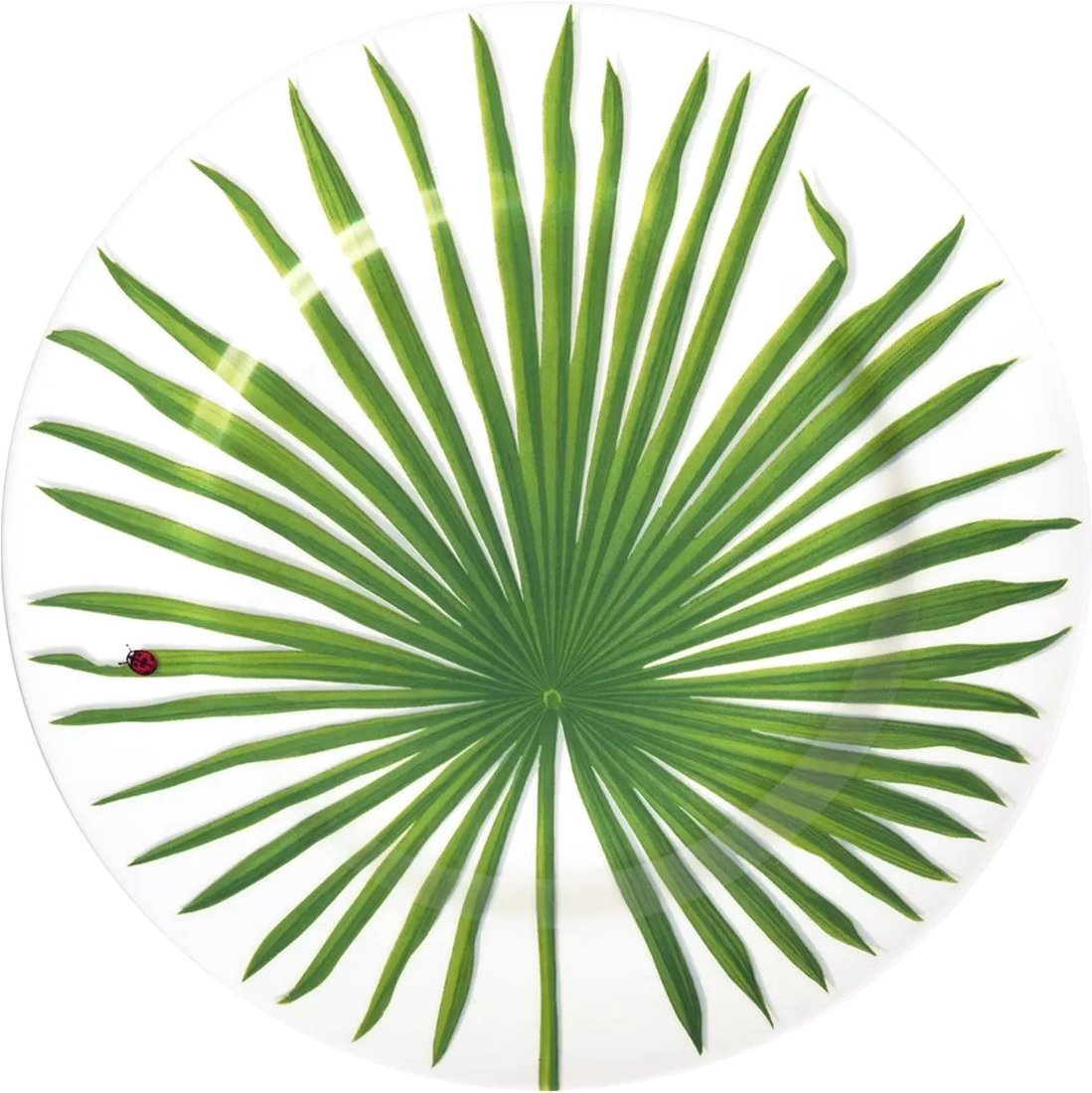 

Блюдо Taitu Freedom Leaf 1-86-C