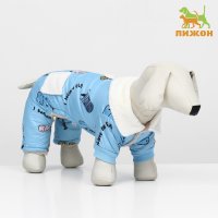 Комбинезон для животных Пижон Метель 9667193 (XS, голубой)