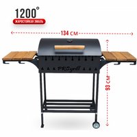 Мангал для дачи Progrill Мюнхен Вуд КТ (4 мм) в Витебске