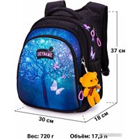Школьный рюкзак SkyName R2-198 + брелок мишка
