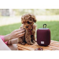 Беспроводная колонка Canyon BSP-8 (бордовый)