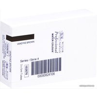 Акварельные краски Winsor & Newton Professional №676 102676 (5 мл, коричневый Ван Дейка)