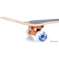 Скейтборд Tempish Explorate