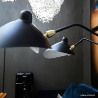 Торшер L'Arte Luce Spider L05644