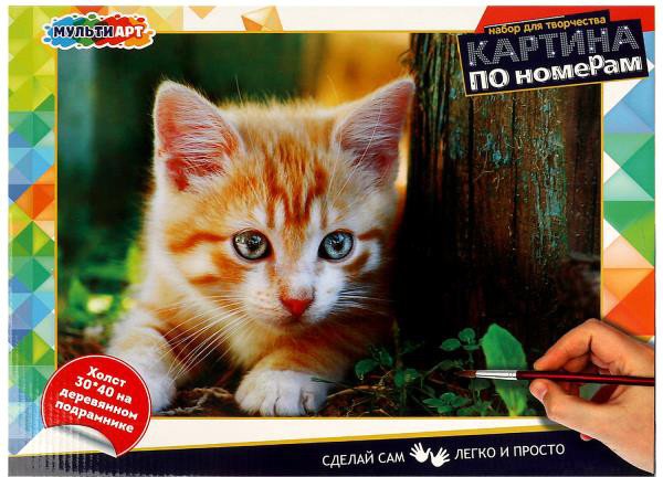 

Картина по номерам MultiArt Рыжик CANV30X40-MULTI3