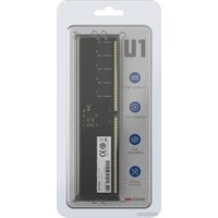 Оперативная память Hikvision U1 16ГБ DDR5 6200 МГц HKED5161DAK6O8ZO1/16G в Пинске