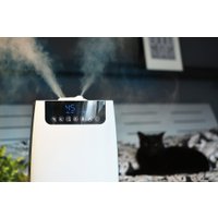 Увлажнитель воздуха Blaupunkt AHS803