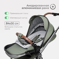 Универсальная коляска Tomix Adele 2 в 1 S760/2 (черный)
