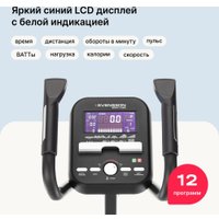 Эллиптический тренажер Svensson Body Labs Zenon