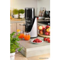 Соковыжималка ETA Press Juicer 103290000