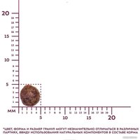 Сухой корм для кошек Award Healthy Growth Kitten (для котят от 1 месяца с индейкой и курицей с добавлением рыбьего жира и семян льна) 10 кг в Орше