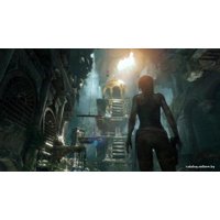  Rise of the Tomb Raider: 20 Year Celebration для PlayStation 4