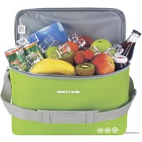 Термосумка БИОСТАЛЬ Кантри TCD-G 10л (зеленый лайм)