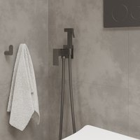 Гигиенический душ Roxen Caspia 500960-GM (оружейная сталь)