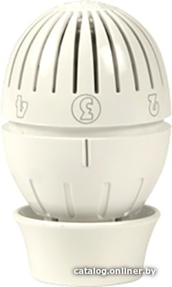 Термоголовка Giacomini R470X001 (с датчиком)