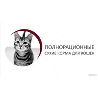 Сухой корм для кошек Landor Sterilised Adult для стерилизованных с индейкой и уткой 10 кг