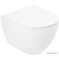 Унитаз подвесной Cezares Stylus CZR-513-TH-R+CZR-2316-SC