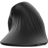 Вертикальная мышь Trust Verro Ergonomic Wireless Mouse