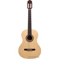 Акустическая гитара Aileen AC-40 N