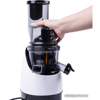 Соковыжималка Rawmid Greenery RGJ-03