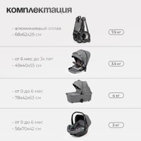 Универсальная коляска Tomix Adele 3 в 1 S760/3 (черный)