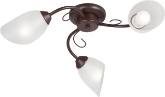 Припотолочная люстра Vitaluce V3715/3PL