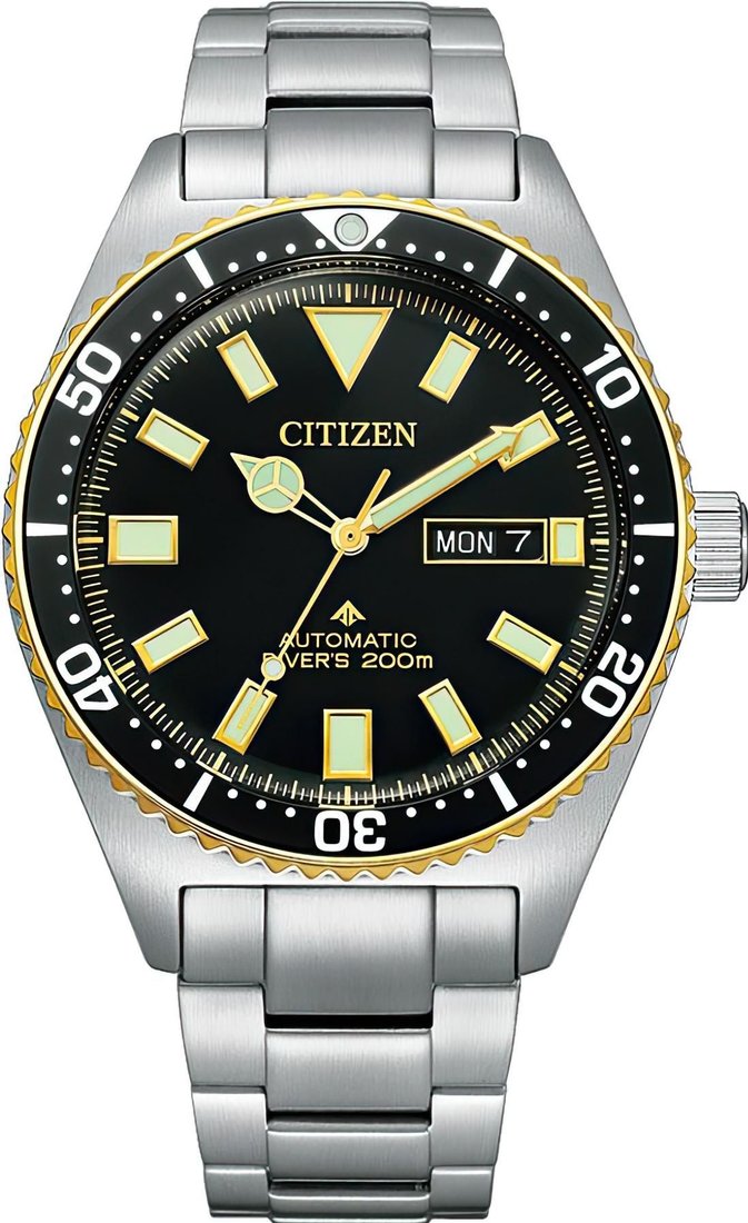 

Наручные часы Citizen Promaster NY0125-83E