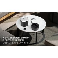 Увлажнитель воздуха Polaris PUH 8080 WIFI IQ Home (черный)