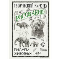 Книга издательства АСТ. Творческий курс по рисованию. Рисуем животных! (Грей Мистер)