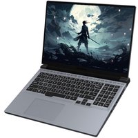 Игровой ноутбук Mechrevo Jiaolong 16 Pro 747Q0