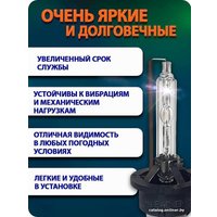 Ксеноновая лампа Blue Light D4S 5000K 2шт
